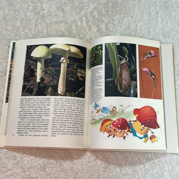 Disney's Wonderful World of Knowledge book 2, 1971 HC GOOD - Picture 8 of 11